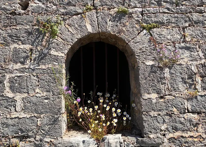 Διαμέρισμα Kiparissi